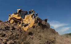 Bulldozer Cat