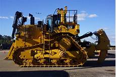 Bulldozer Cat