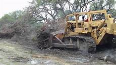 Bulldozers Cat