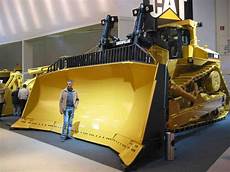 Bulldozers Cat