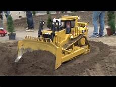 Bulldozers Cat