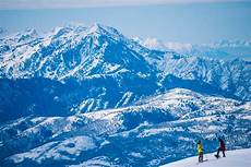 Buller
