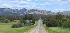 Buller