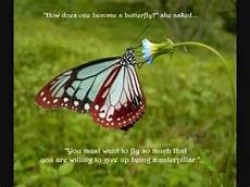 Caterpillar Most