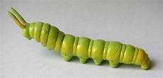 Caterpillar pins
