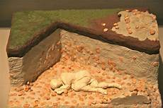 Excavators Haven't
